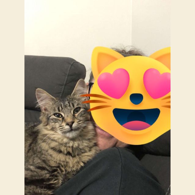 Photo of Little Love