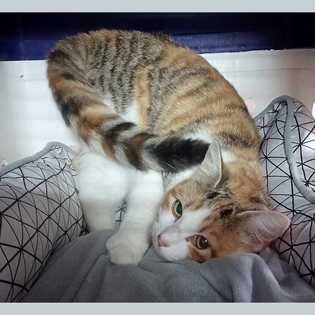 Photo of Shirley