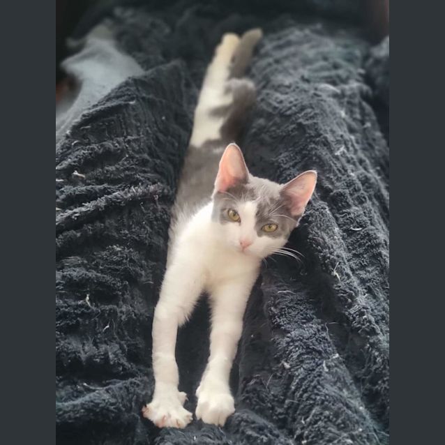 Photo of Violet 