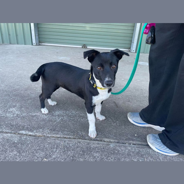 Photo of Bond