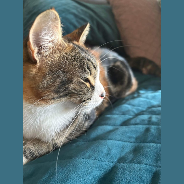 Photo of Jasmine
