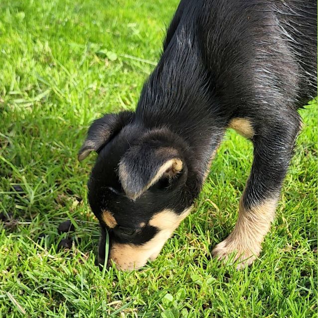 Photo of Ellie