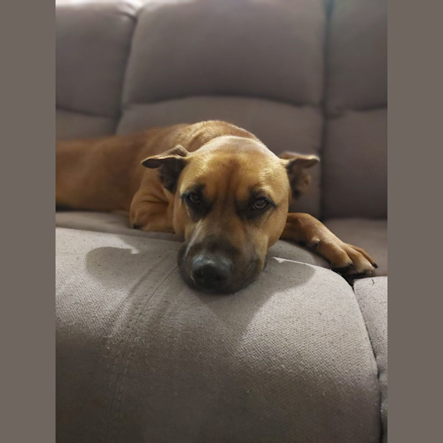 Photo of Rosie 🌹💞