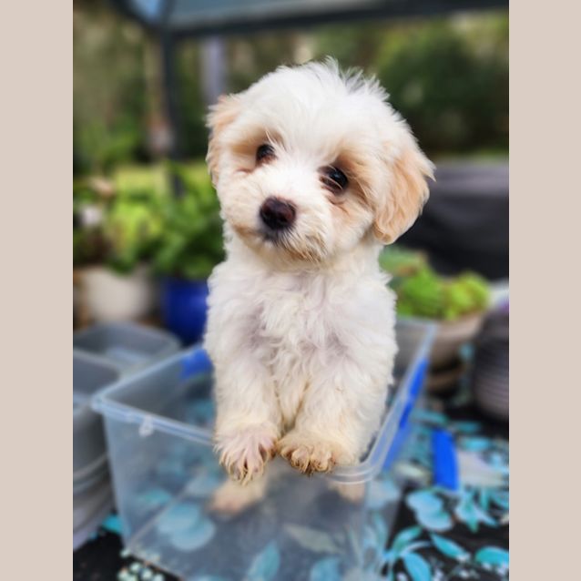Photo of Ginny