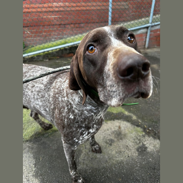 Photo of Pip