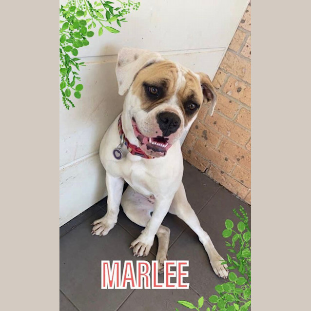 Photo of Marlee