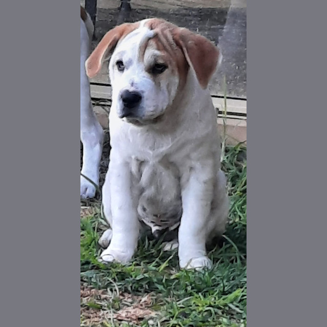 Photo of Freckle