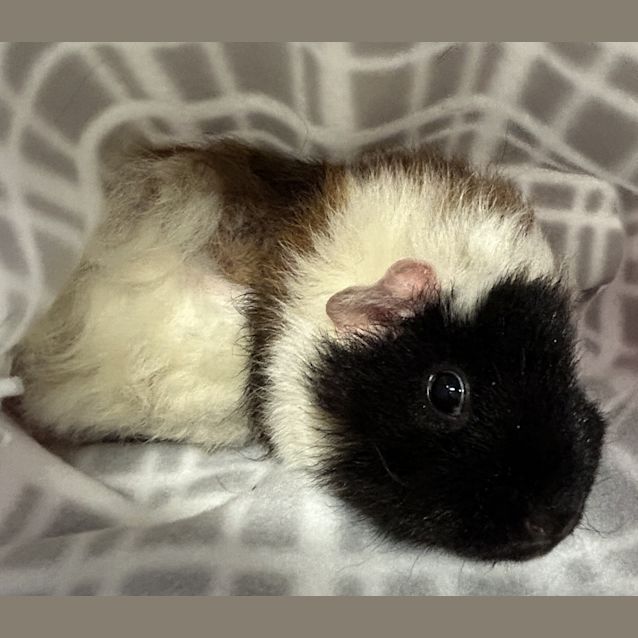 Photo of Sue