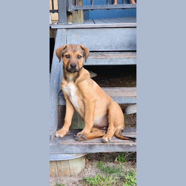 Photo of Athena