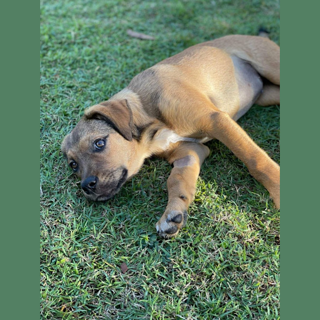 Photo of Athena