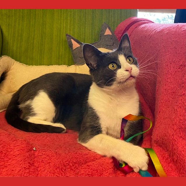 Photo of Chippy 🌸🌸