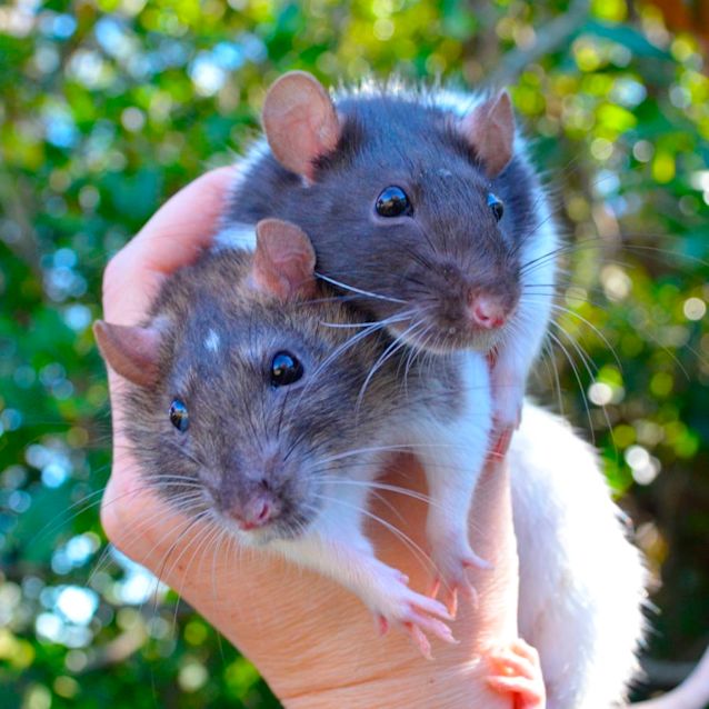 Photo of Bella And Cali