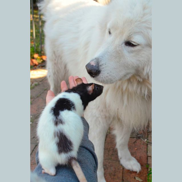 Photo of Bella And Cali