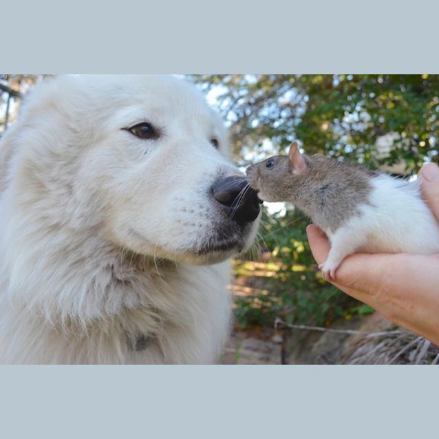 Photo of Bella And Cali