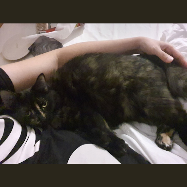 Photo of Tinker Bell
