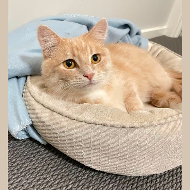 Photo of Molly