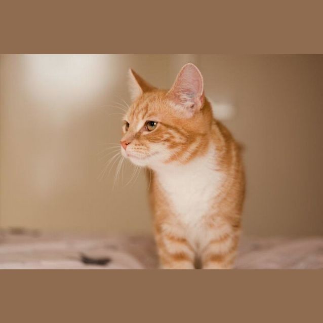 Photo of Honey Quackenbush