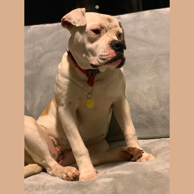 Photo of Aphrodite