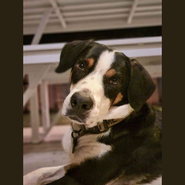 Photo of Stanley