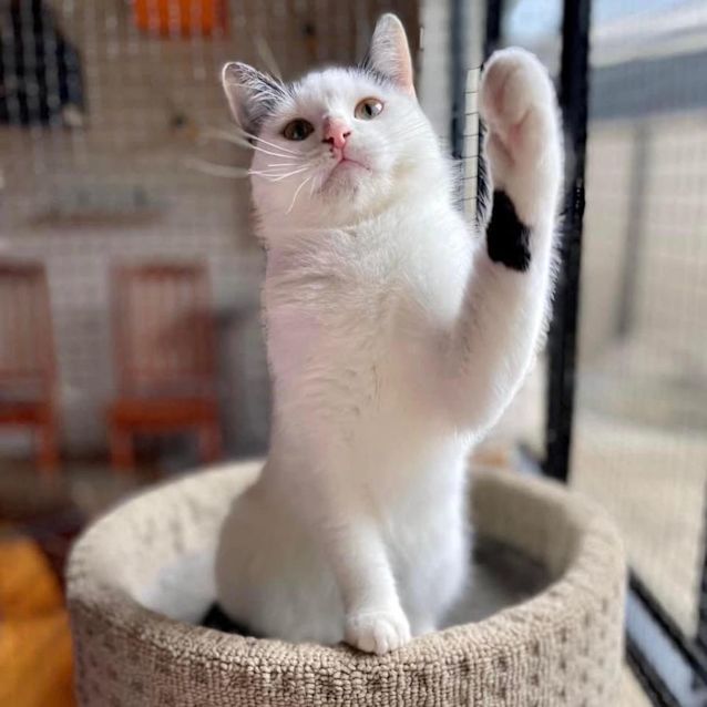 Photo of 9458   Bernie 