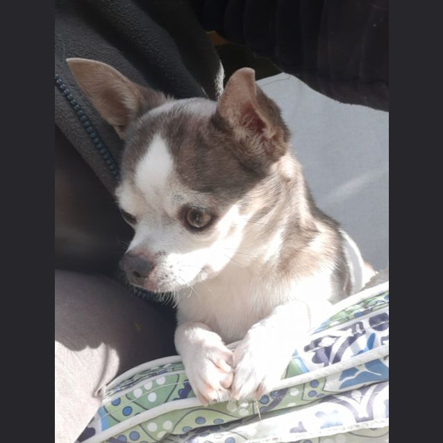 Photo of Bert