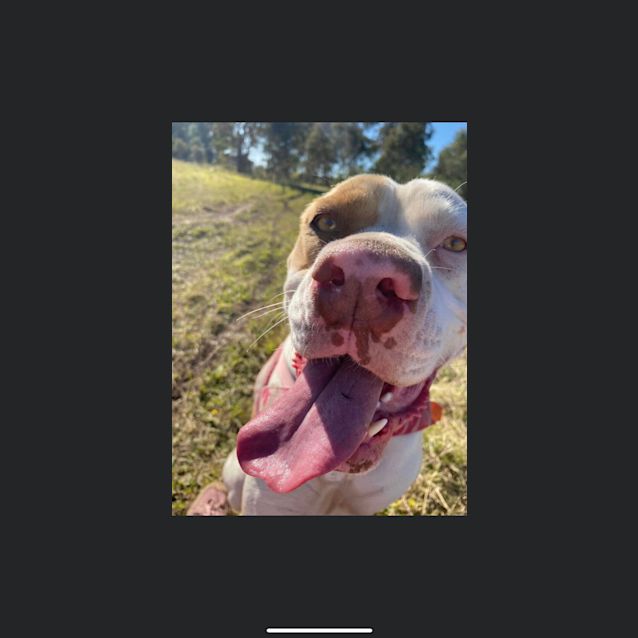 Photo of Lola 