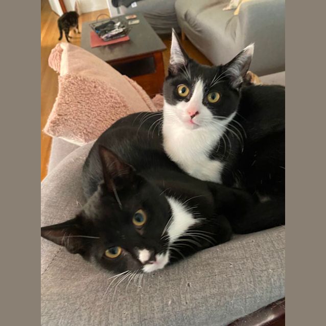 Photo of Helga   Bonded With Ilse