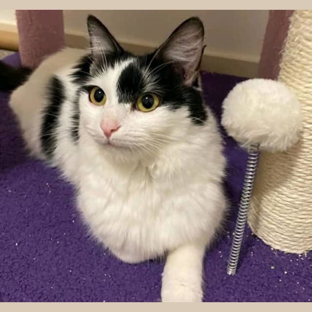 Photo of Minnie Mouse