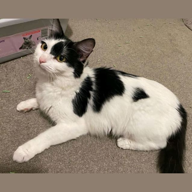 Photo of Minnie Mouse