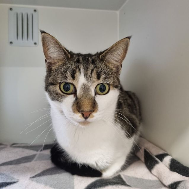 Photo of Snuggle Bug