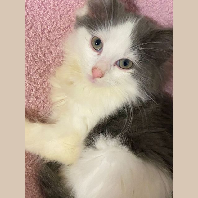 Photo of Mr Marshall