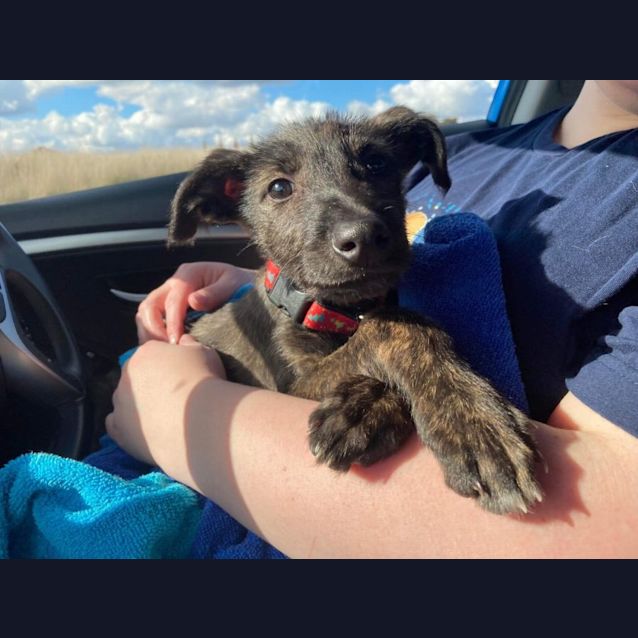 Photo of Twinky