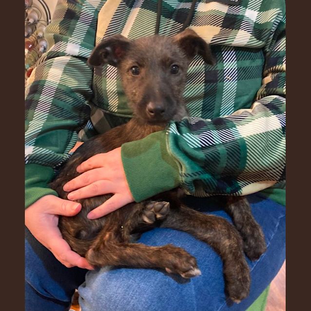 Photo of Twinky