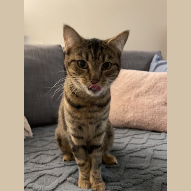 Photo of Jess