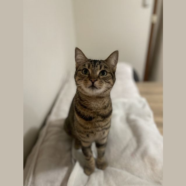Photo of Jess