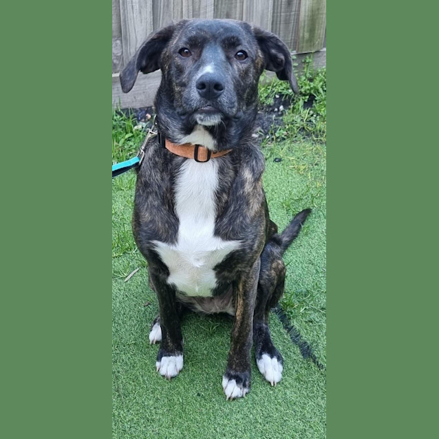 Photo of Trixi Lou 