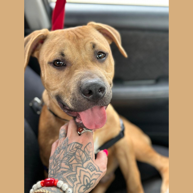 Photo of Ollie