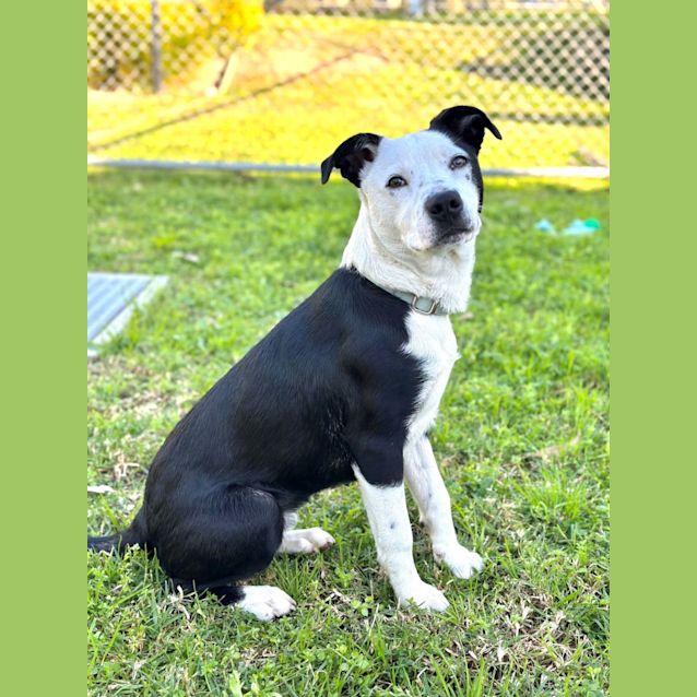 Photo of Charlie
