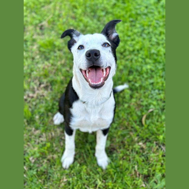 Photo of Charlie