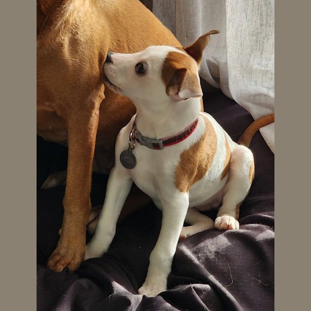 Photo of Lola