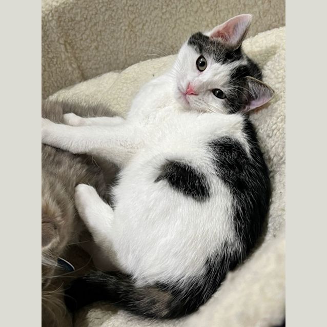 Photo of Julius And Nicole