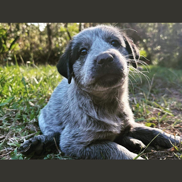 Photo of Bingo