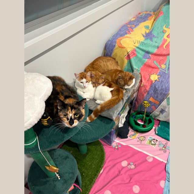 Photo of Connie And Phillip 🧡🧡
