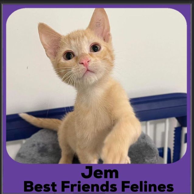 Photo of Jem
