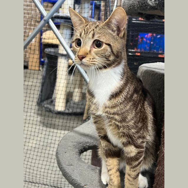 Photo of Bill