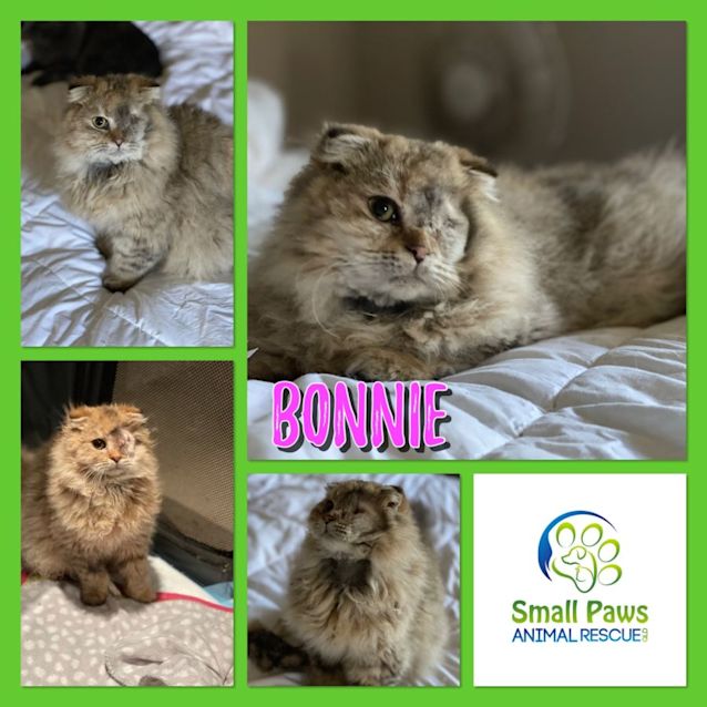 Photo of Bonnie