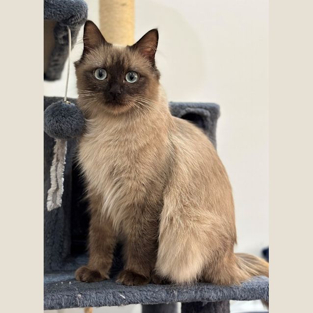 Photo of Zelie