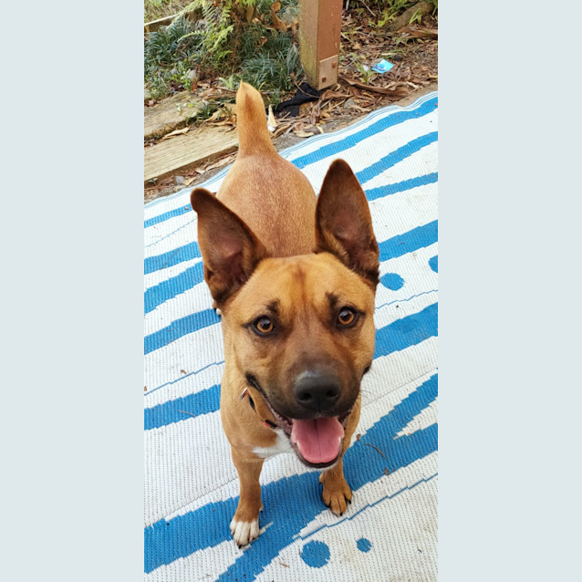 Photo of Rosie 🌹💞