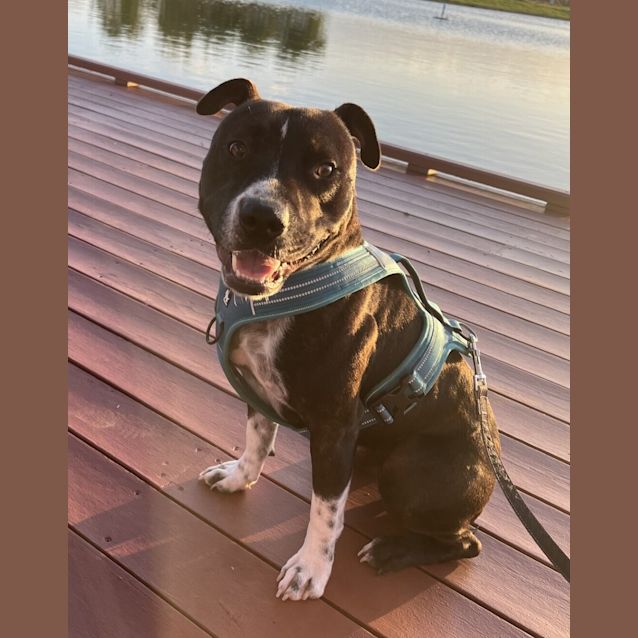 Photo of Doug