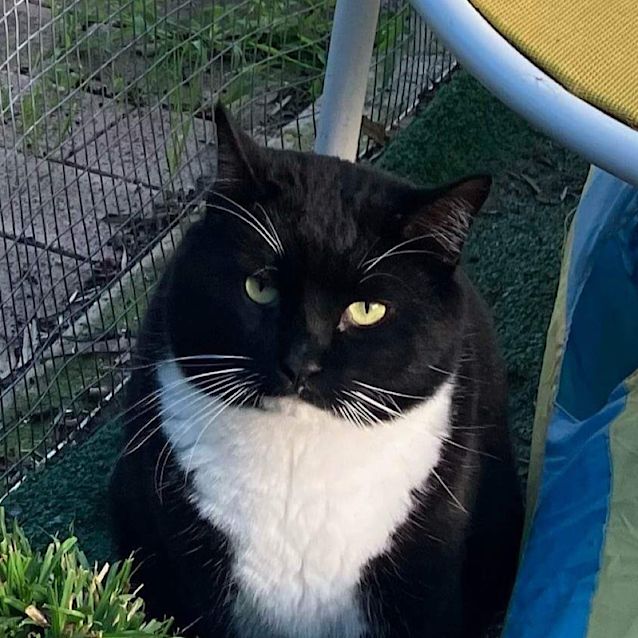 Photo of Jelly Bean